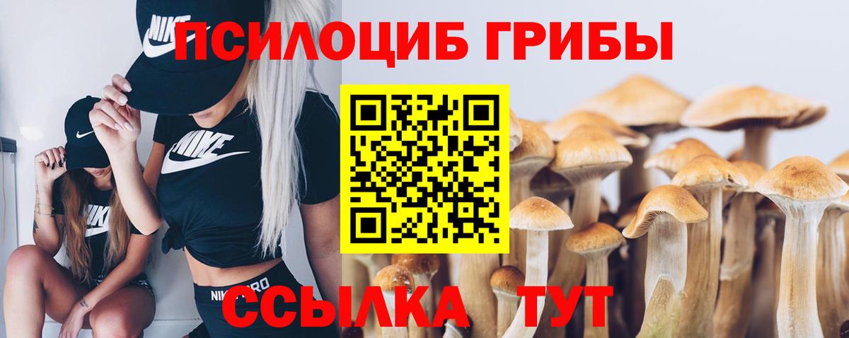 Псилоцибиновые грибы мухоморы Всеволожск